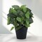 Realistic Faux Potted Plants with Plastic Pots - Artificial Plants for Indoor & Outdoor Home Decor, Bathroom, Kitchen, Shelf, Office